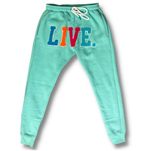 Load image into Gallery viewer, Live Chenille Joggers- Teal
