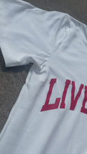 Load and play video in Gallery viewer, Live Above Mesh Shorts - Red
