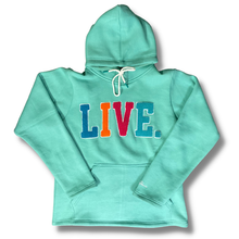 Load image into Gallery viewer, Live Chenille Hoodie- Teal
