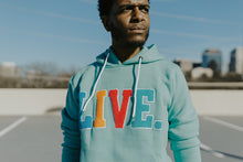 Load image into Gallery viewer, Live Chenille Hoodie- Teal
